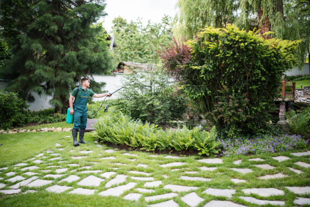 Best Pest Inspection Near Me  in Mcnair, VA