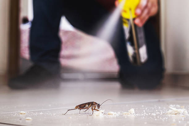 Best Pest Control for Homes  in Mcnair, VA