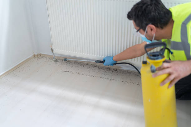 Professional Pest Control in Mcnair, VA