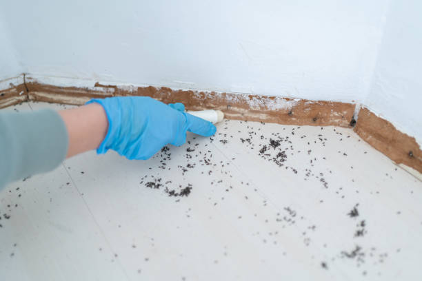Best Best Pest Control Companies  in Mcnair, VA